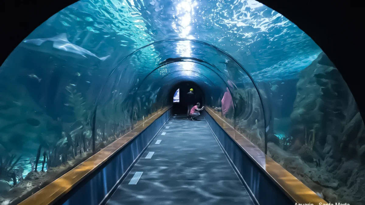 acuario-santa-marta acuario-santa-marta